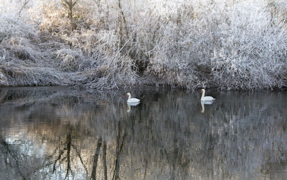 winter am fluß