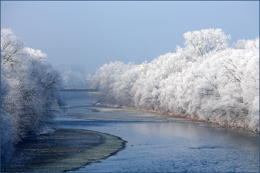 Winter am Fluss