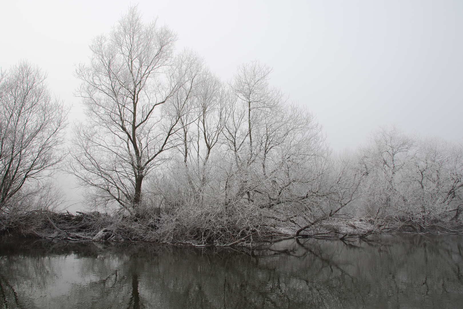 winter am fluss