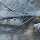 Winter am Fluss