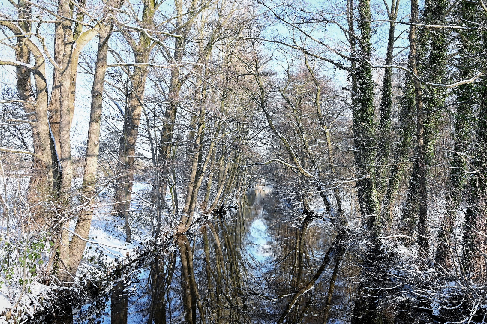 Winter am Fluss