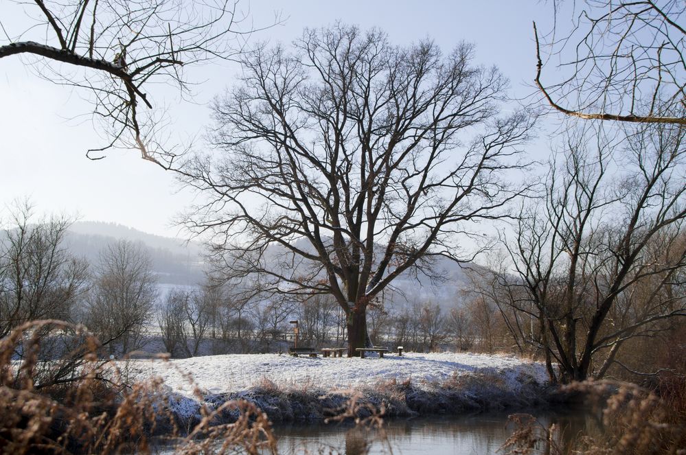 winter am fluß