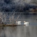 winter am fluss