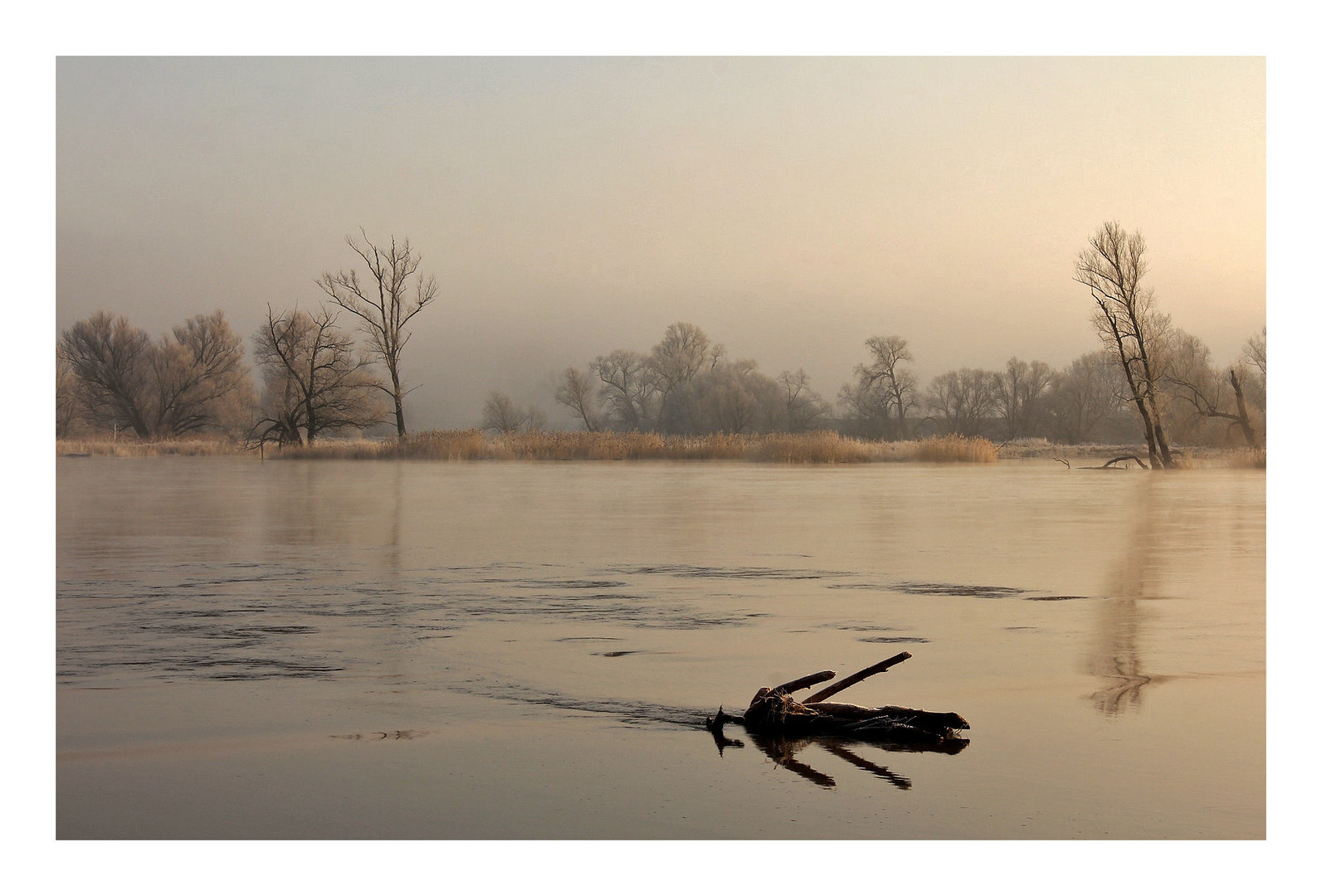 Winter am Fluss ?