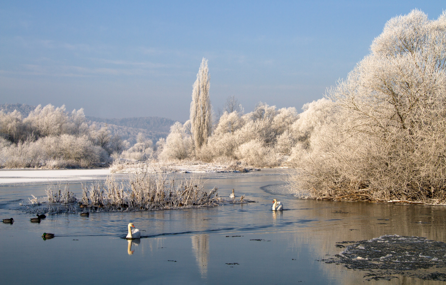 winter am fluß