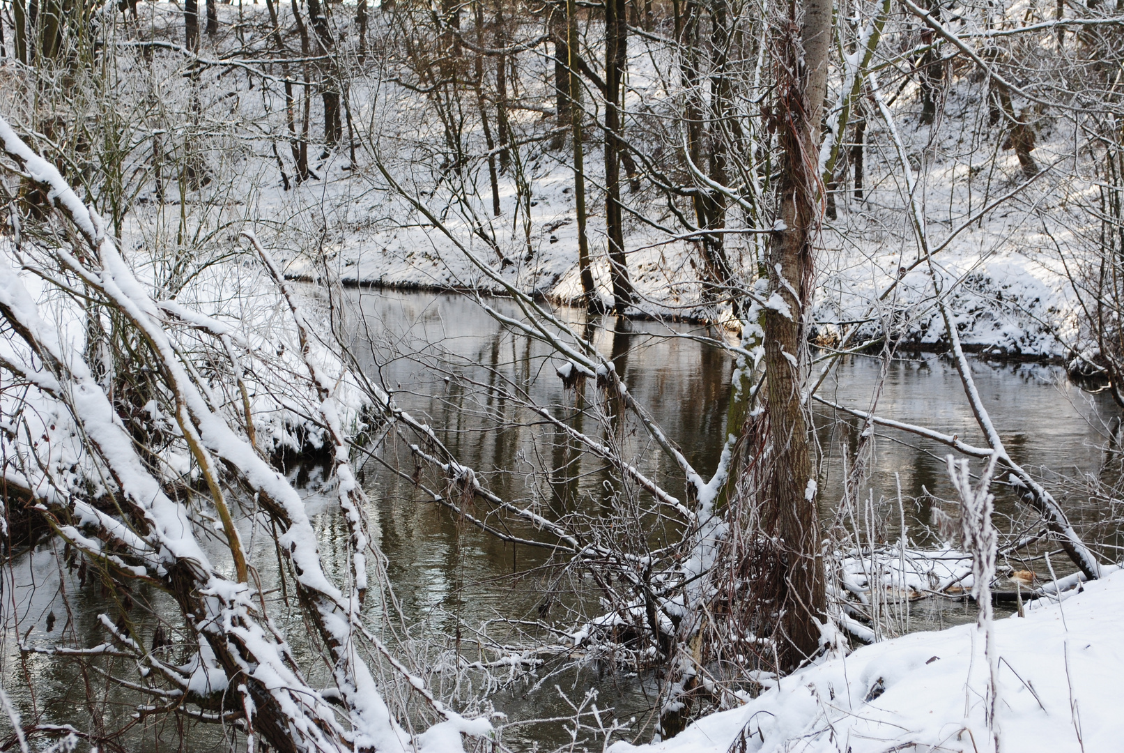 Winter am Fluß