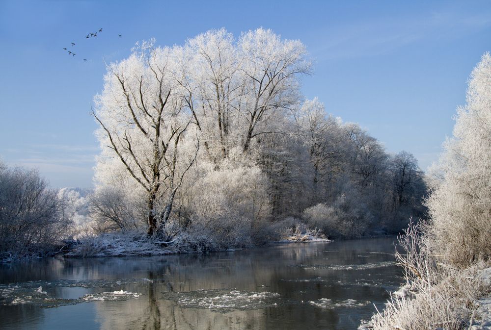 winter am fluß