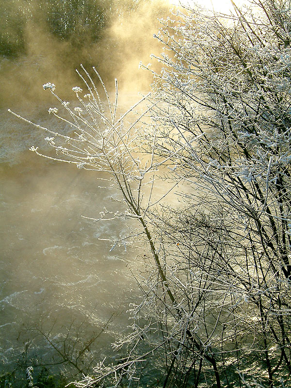 Winter am Fluss