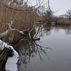 Winter am Fluss