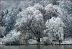 *Winter am Fluß*