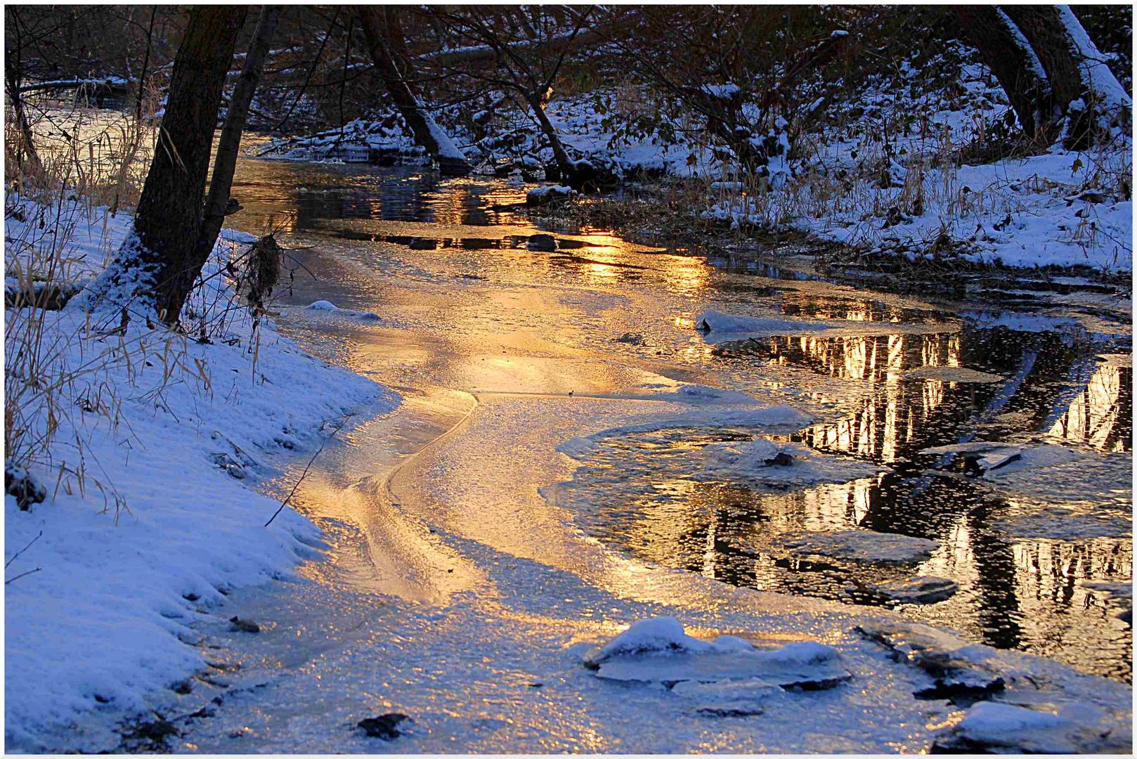 Winter am Fluß