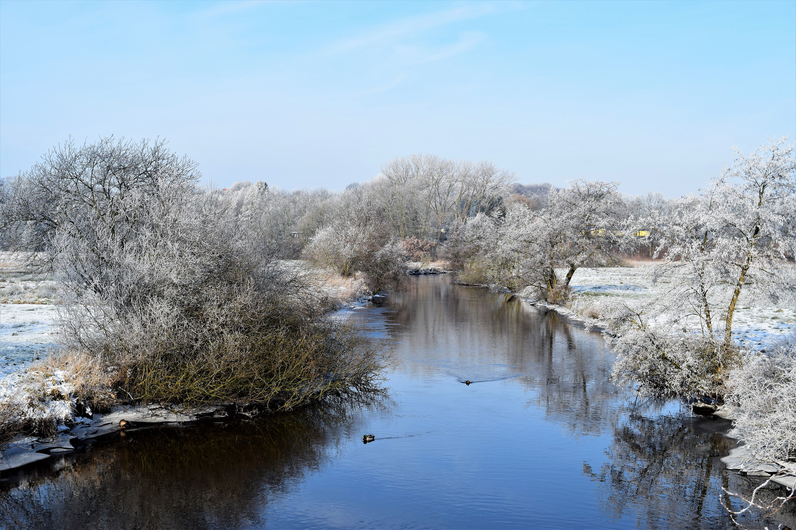 Winter am Fluss