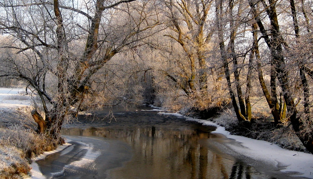 Winter am Fluss