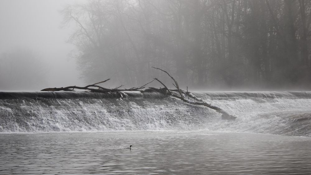 winter am fluss