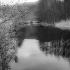 Winter am Fluss