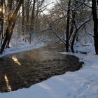 Winter am Fluss