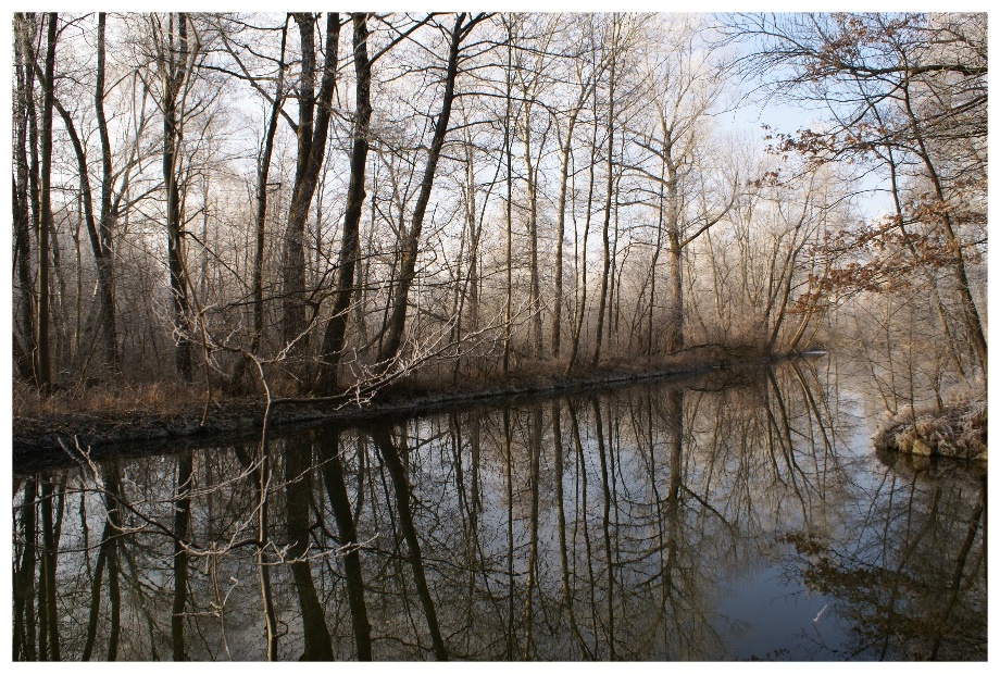 Winter am Fluss