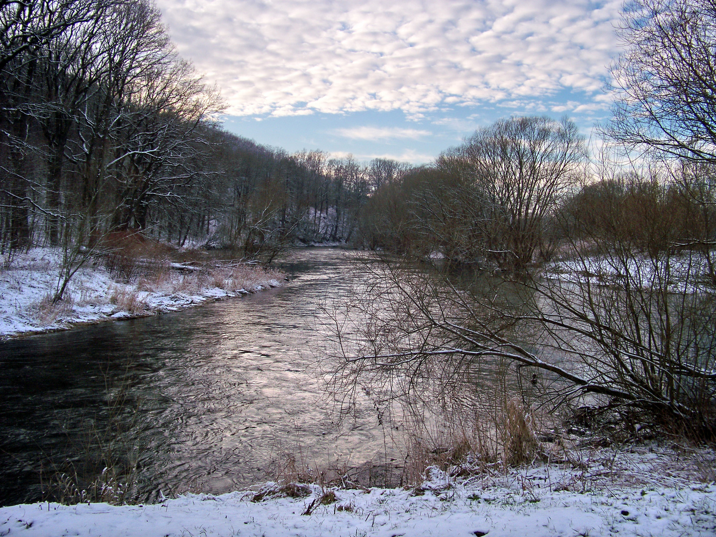 Winter am Fluss