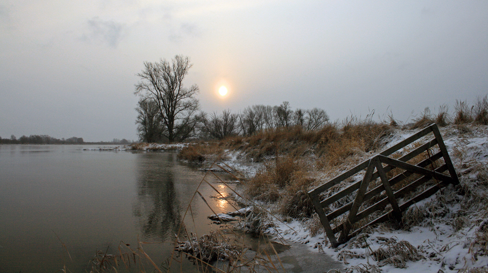 Winter am Fluß (Oder) - Reloaded