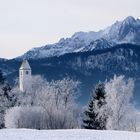 Winter am Forgensee