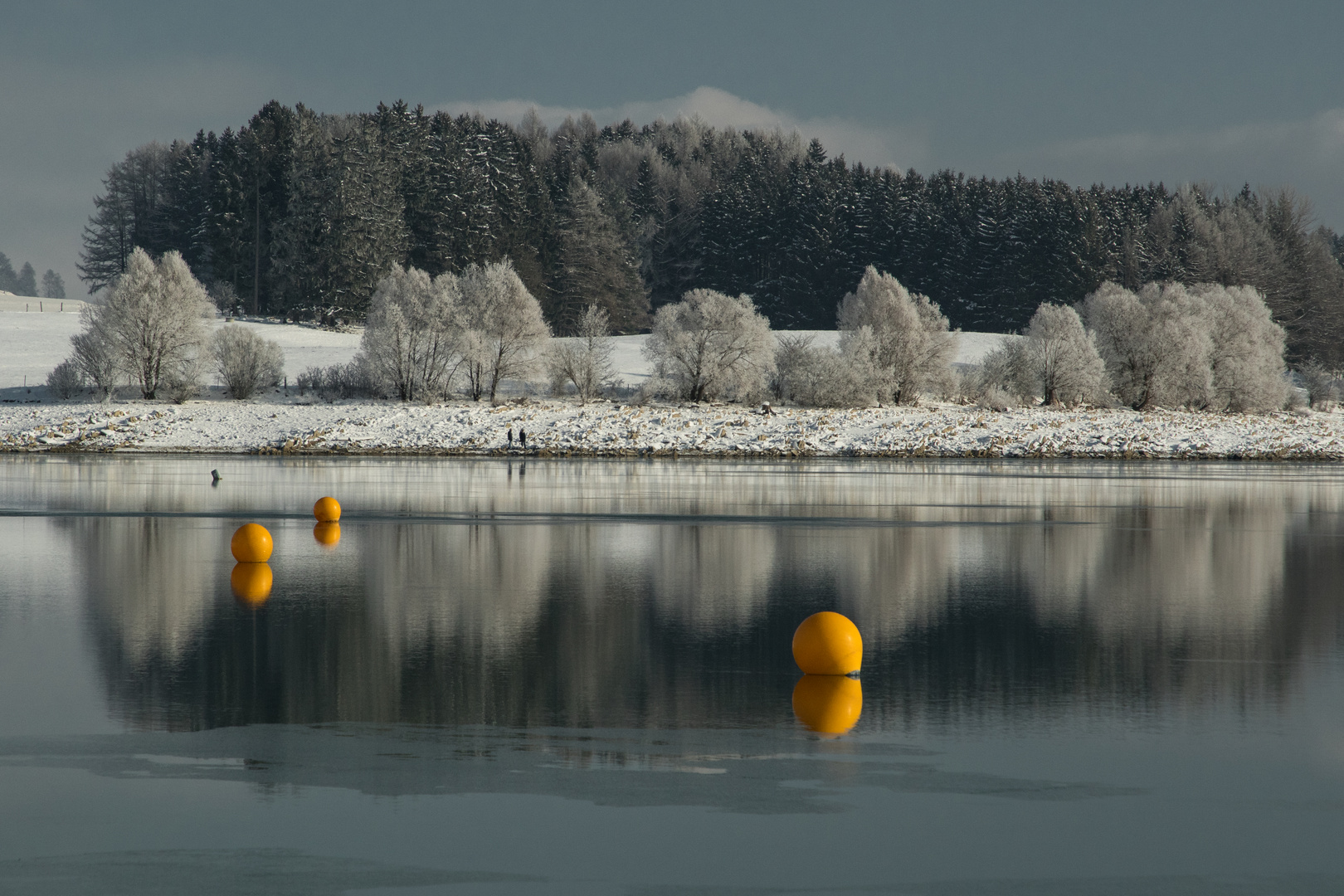 Winter am Forggensee