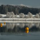 Winter am Forggensee