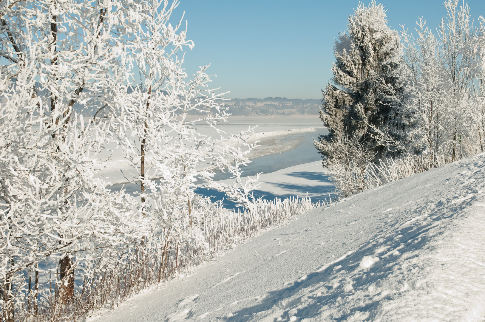 Winter am Forggensee