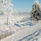 Winter am Forggensee