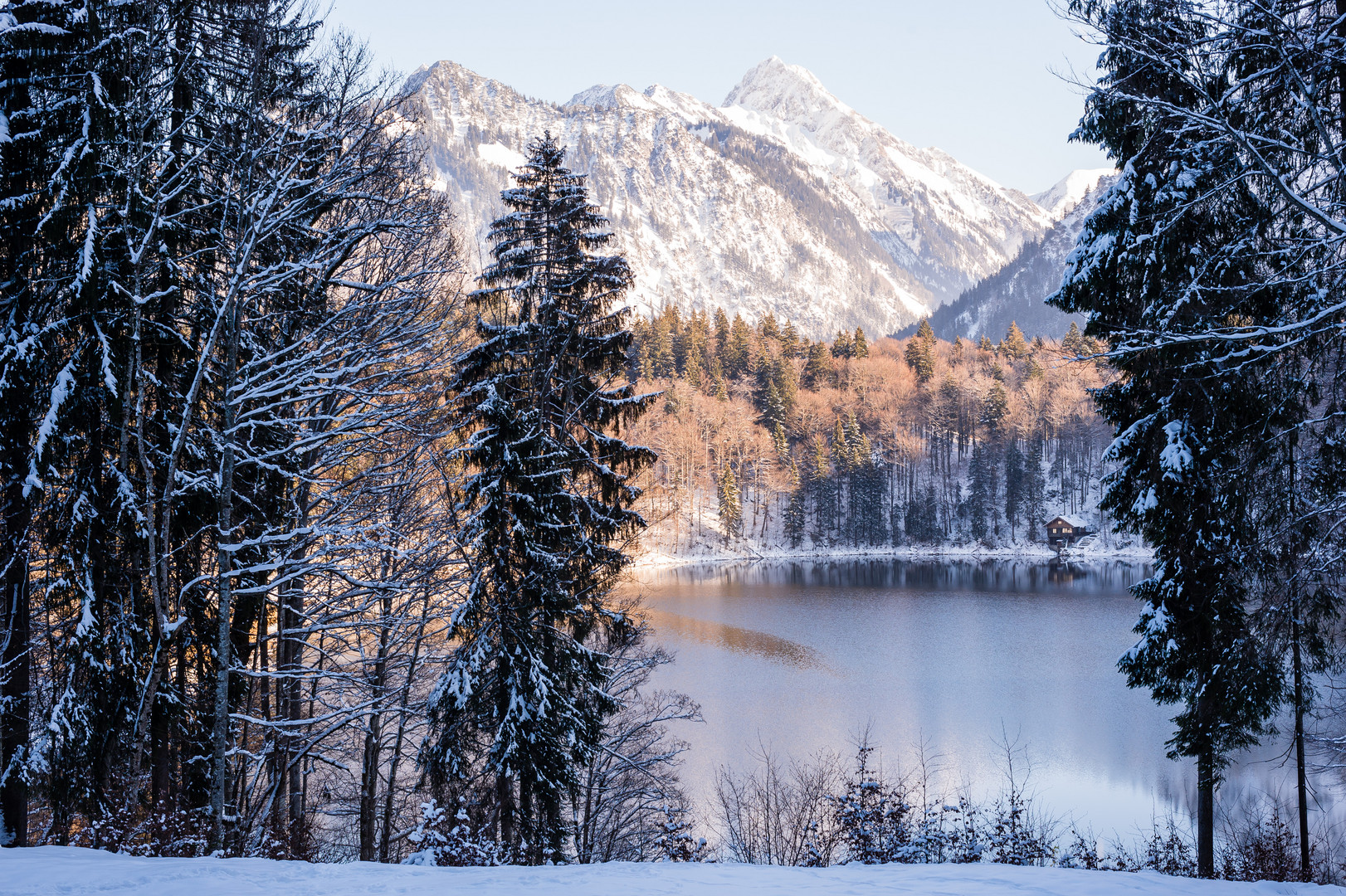 Winter am Freibergsee