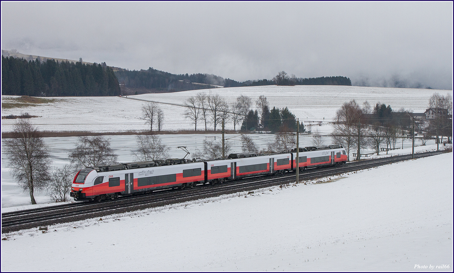 Winter am Furtner Teich.