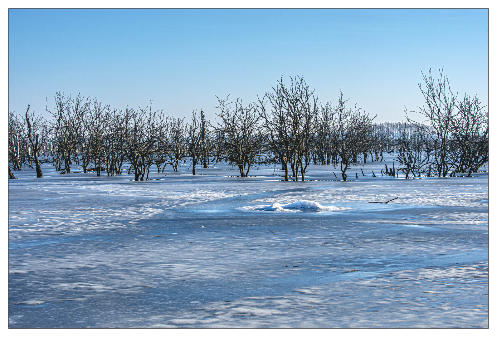 Winter am Galenbecker See