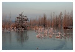 Winter am Geiseltalsee