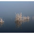 Winter am Geiseltalsee