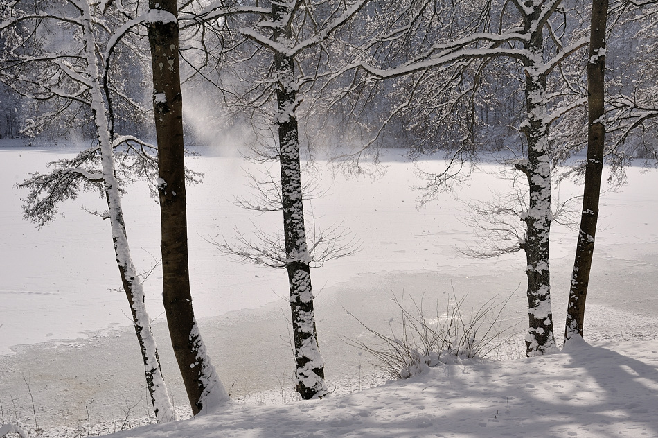 *Winter am Gemündener Maar II*