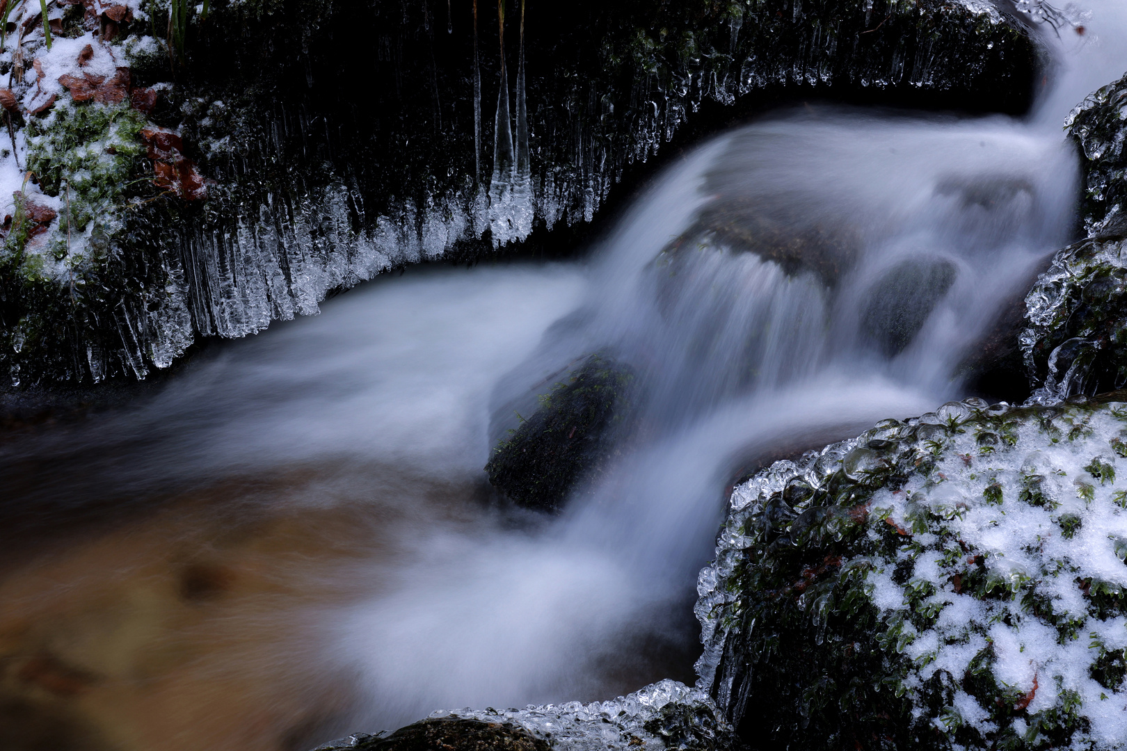 Winter am Gertelbach