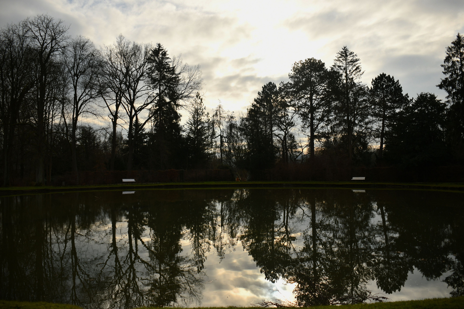 Winter Am Goldfischteich