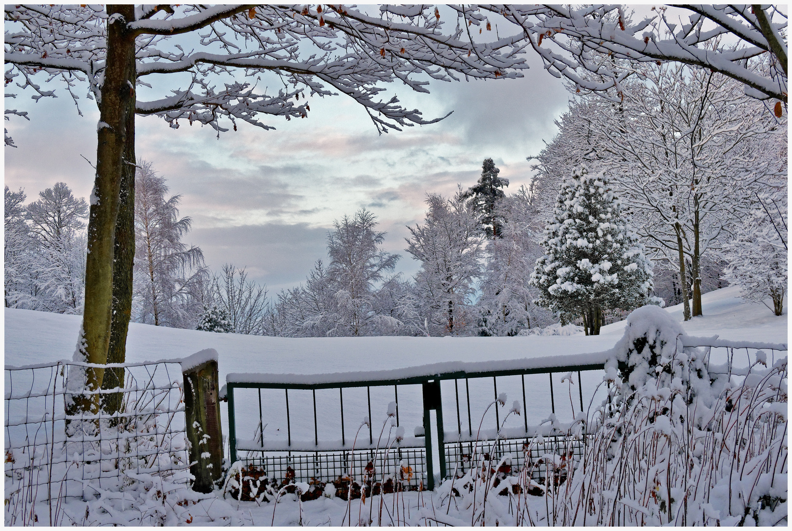 Winter am Golfplatz