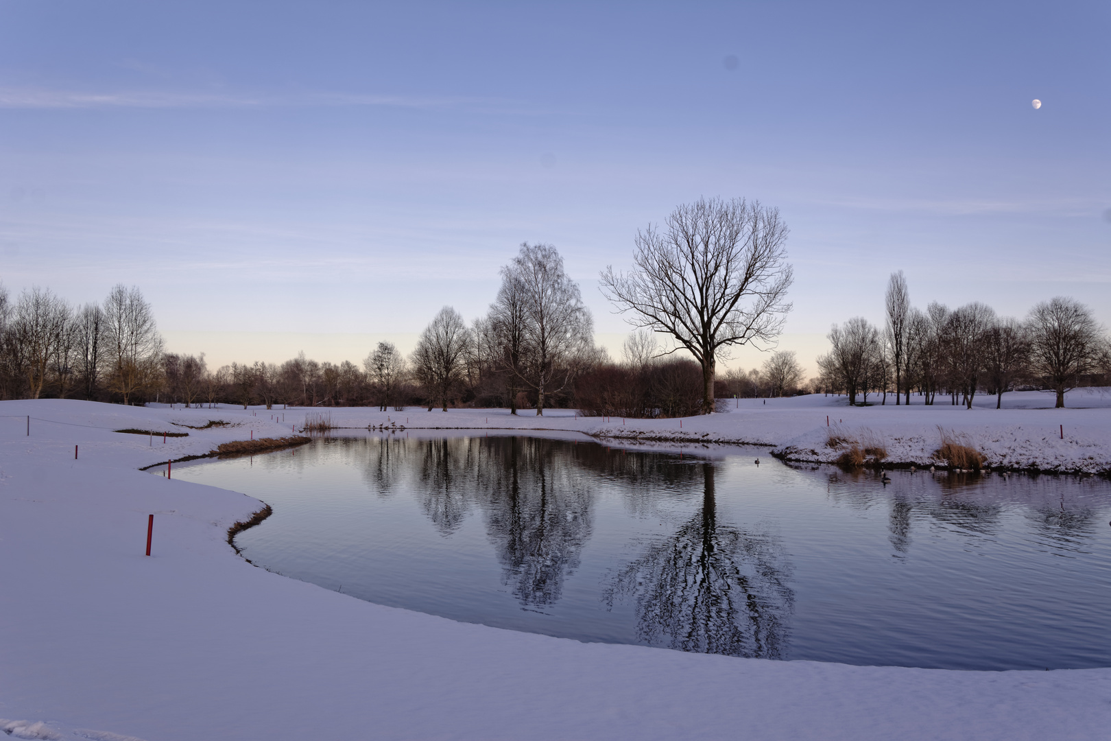 Winter am Golfplatz Olching