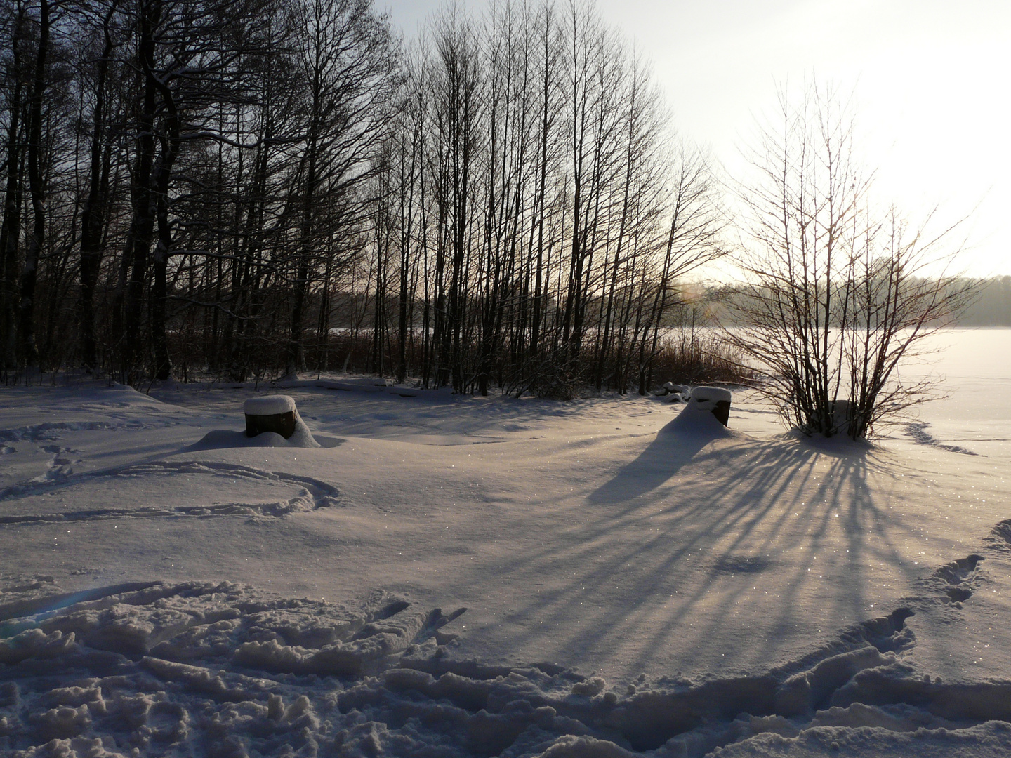 Winter am Gorinsee 2