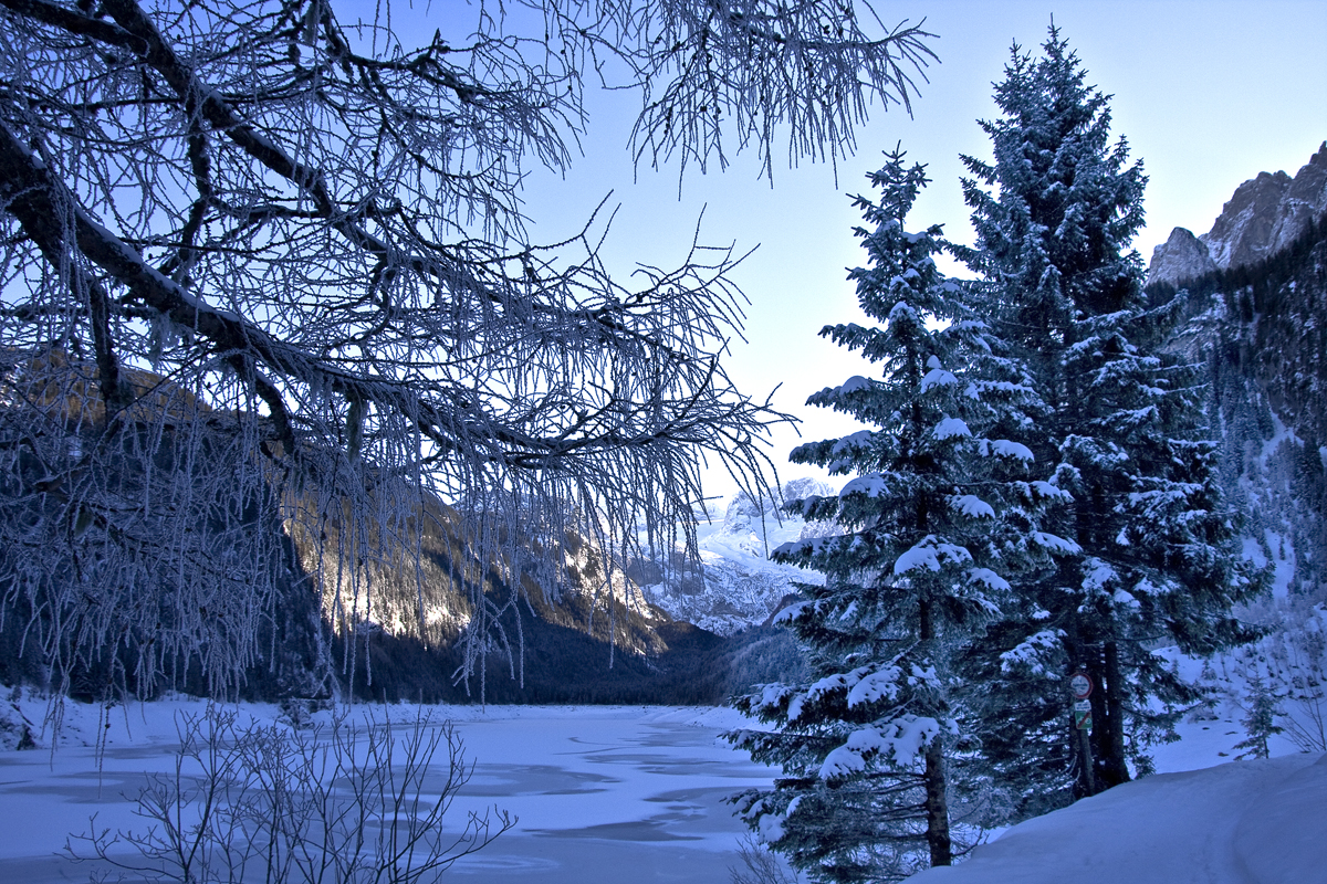 Winter am Gosausee