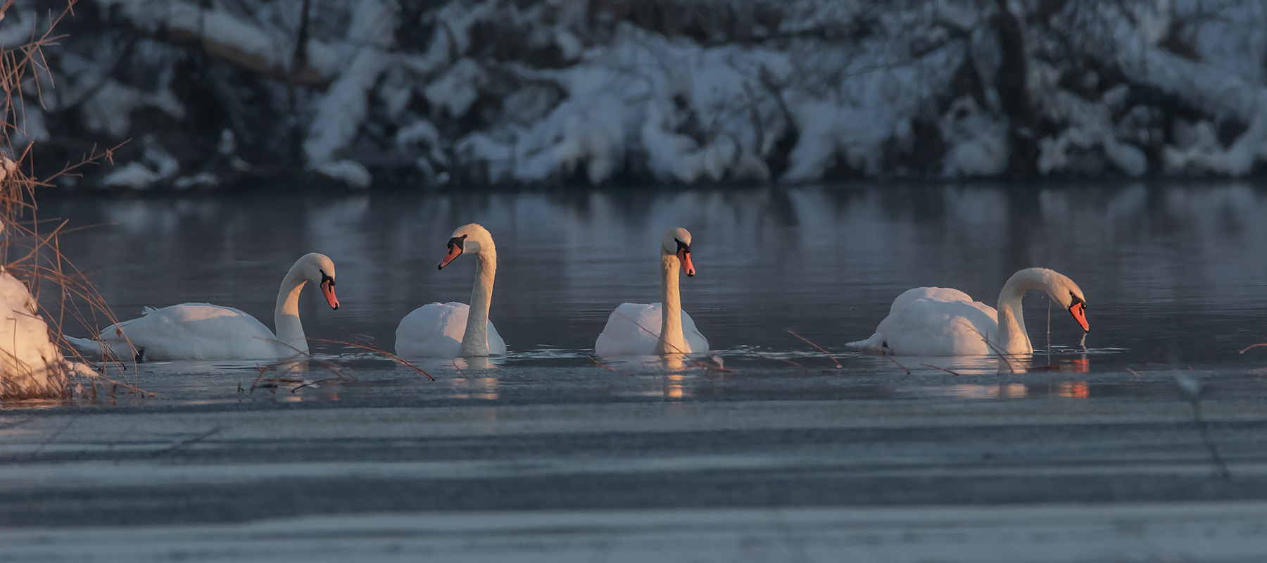 Winter am Gralla Stausee ...