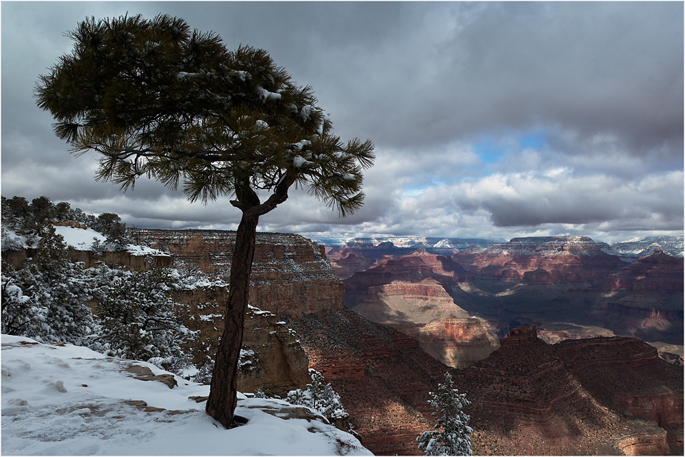 Winter am Grand Canyon