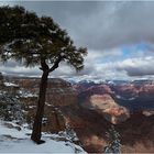 Winter am Grand Canyon