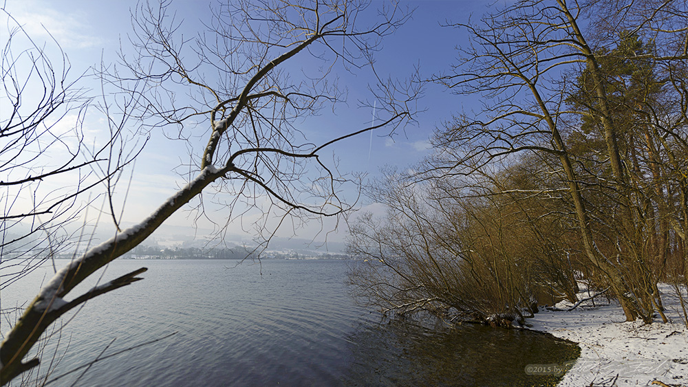 Winter am Greifensee