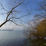 Winter am Greifensee