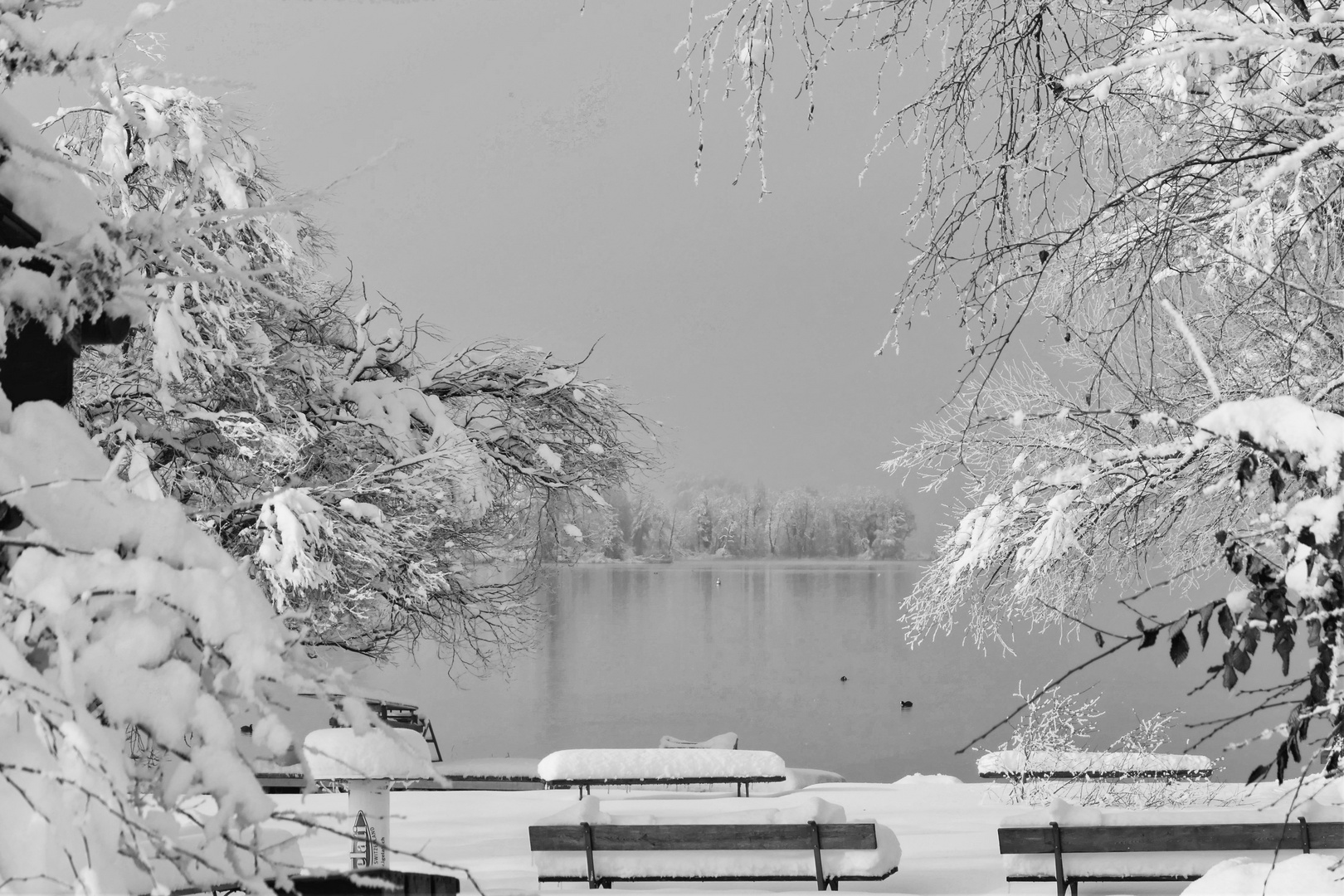 Winter am Greifensee 7