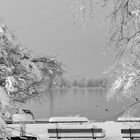 Winter am Greifensee 7