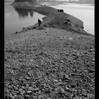 Winter am Greyerzersee