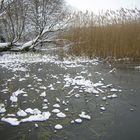 Winter am Grienericksee - Rheinsberg/BB