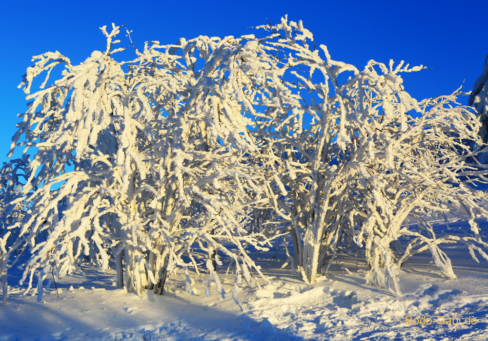 Winter am Großen Feldberg im Taunus